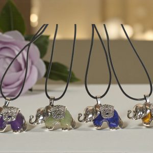 whatsapp image 2025 10 19 at 20.26.53